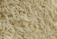 Fevearroz: precio base de US$0,38 por kg para productores garantizaría estabilidad en el sector