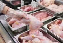 FENAVI proyecta iniciar exportaciones avícolas hacia las islas ABC en cinco meses