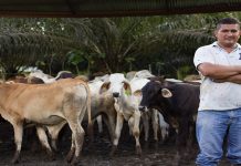 Feproagro reportó una disminución del 50% en la producción de la carne en Bolívar durante el 2025 Armando Chacín, presidente de la Federación Nacional de Ganaderos de Venezuela (Fedenaga), puntualizó que cuentan con los equipos y personal para lograr que Venezuela regrese a la producción y no sólo cubrir las necesidades internas sino también poder cubrir el mercado en otros países.