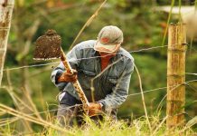 Productores rurales de Bolívar trabajan en plan de desarrollo regional