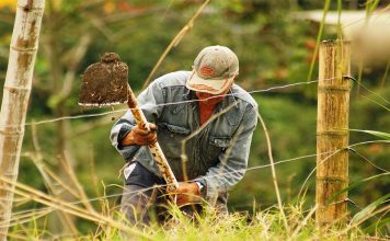 Productores rurales de Bolívar trabajan en plan de desarrollo regional