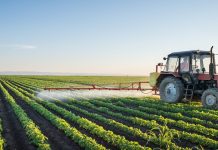 Productores agrícolas presentaron a la AN peticiones para denunciar contrabando y pagos tardíos