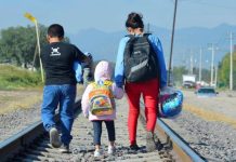 Migración venezolana aporta $10.600 millones a economías de América Latina