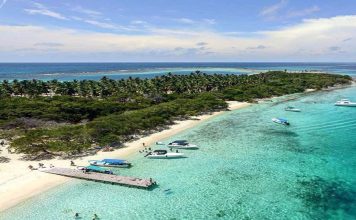 Activan app para el registro de turistas que deseen visitar Morrocoy en Semana Santa