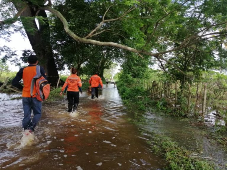 Trujillo| Tras las inundaciones se podría ver comprometido el abastecimiento nacional de hortalizas