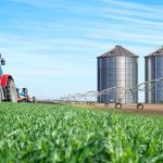 Productores piden estabilidad cambiaria y crédito para sostener la próxima siembra