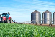 Productores piden estabilidad cambiaria y crédito para sostener la próxima siembra