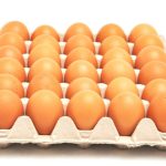 FENAVI aspira llegar a 16,5 millones de cajas de huevos anuales el-carabobeno.com