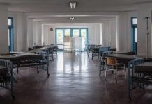 Sistema de trasplante de órganos cumple nueve años paralizado este mes de junio Imagen de Cortesía