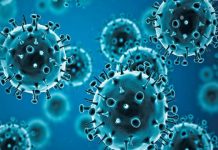 Sociedad Venezolana de Infectología llama a la vigilancia y prevención por circulación de virus de influenza