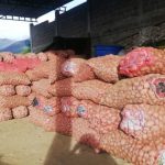 Advierten ingreso por contrabando de seis rubros de hortalizas desde Colombia sin control fitosanitario Hortalizas