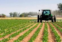 Agricultura