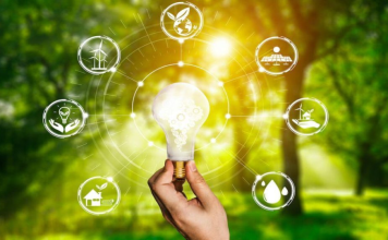 GEM 2025: Sólo el 1,9% de los emprendimientos en Venezuela logra consolidarse como empresa Sostenibilidad en los emprendimientos