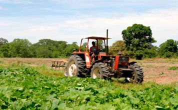 Presentan plan estratégico para impulsar la producción en Mérida Sector Agropecuario