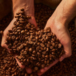 Caracas acoge la IV edición del Encuentro Internacional de Cafés de Especialidad Café moneda local