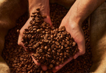 Caracas acoge la IV edición del Encuentro Internacional de Cafés de Especialidad Café moneda local