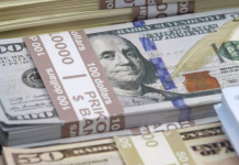 Ecoanalítica calcula colocación inicial de $150 millones en mercado cambiario divisas