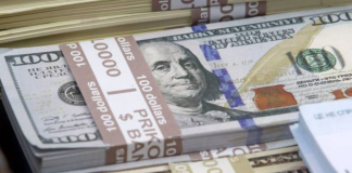 Economista advierte que falta de divisas oficiales dispara la brecha cambiaria divisas