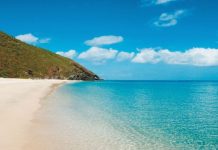 Proyectan un crecimiento en la actividad turística en Nueva Esparta de más del 20%