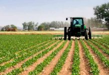 Sector agrónomo alerta aumento del precio de fertilizantes sintéticos pero descarta riesgos en los cultivos