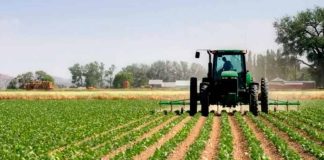 Sector agrónomo alerta aumento del precio de fertilizantes sintéticos pero descarta riesgos en los cultivos