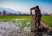 Informalidad laboral en la agricultura supera el 80% en América Latina, según OIT y FAO