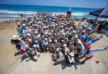 Coca-Cola FEMSA Venezuela celebró Día Mundial de Limpieza de Playas con jornada de recolección de residuos en 4 estados