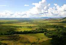 Barinas se consolida como el mayor productor de queso y carne de Venezuela Turismo en Barinas: uno de los destinos más diversos de Venezuela