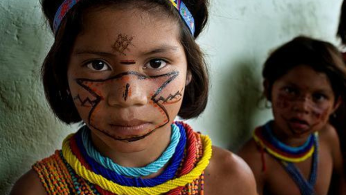 Una Mirada Yekuana