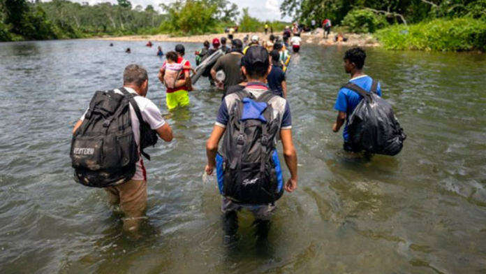 ola de migrantes venezolanos