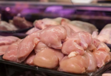 La industria avícola abastece la mayor parte del consumo de proteína animal en Venezuela