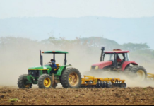 Productores de maíz en Guárico financian producción con venta de equipos y ganado