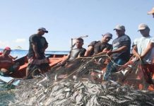 Plan para surtir combustible a flota pesquera en oriente solo atiende 90 embarcaciones Asopesca