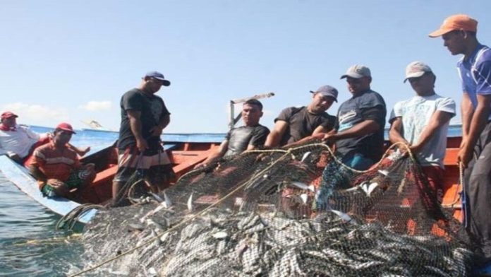 Asopesca