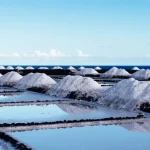 CAVIDEA: Producción de sal incrementó un 18% en 2025