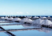 CAVIDEA: Producción de sal incrementó un 18% en 2025