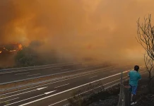 Incendios en España: más de 343 mil hectáreas consumidas por el fuego