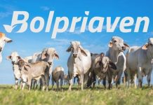 Bolsa de valores agrícola: «El principal desafío económico es el financiamiento»