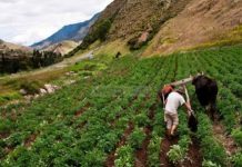 Sector empresarial de Mérida destaca la resiliencia local pese a desastres naturales