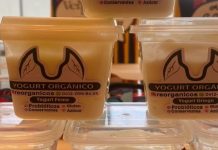 Yogurt tachirense «Reorganicos» gana premio al mejor emprendimiento de Venezuela