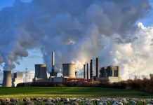 América Latina se proyecta como la favorita en el mercado de Carbono