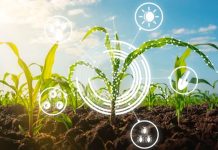 «Innovación y regeneración para el futuro agropecuario»: Un foro para la planificación del sector
