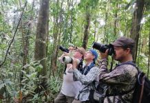 Invitados de más de 23 países visitaron Mérida para ver las 17 especies endémicas de aves