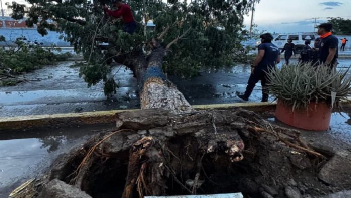 WhatsApp-Image-2025-10-30-at-1.12.03-PM-1068x601