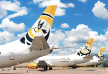 Volará 2 veces a la semana: Turpial Airlines conectará a Valencia con Maracaibo a partir del #17Nov