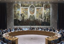 Consejo de Seguridad de la ONU aprobó la resolución de EE UU para Gaza basada en el plan de Trump