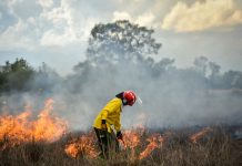 15 países de la región se reunieron para enfrentar los incendios forestales desde una mirada integral