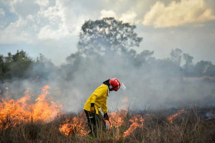 Manejo integral del fuego 1