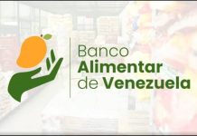 Banco Alimentar de Venezuela se propone superar su récord de donaciones en gran recolección nacional