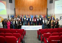 FAO propone soluciones financieras innovadoras que aceleren la transformación de los sistemas agroalimentarios